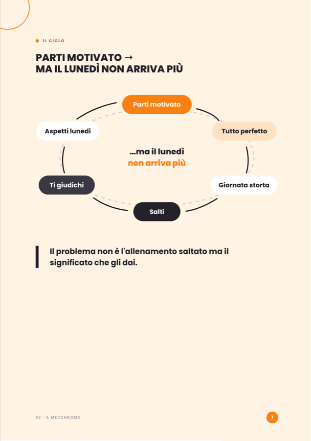 Pagina 7: lo schema del ciclo a sei stadi